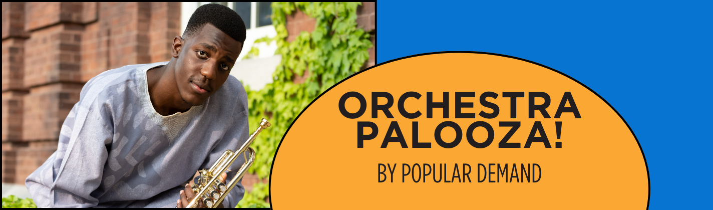 Vermont Youth Orchestra Association - OrchestraPalooza