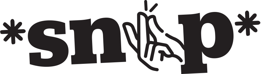 *snap* Festival Call to Artists